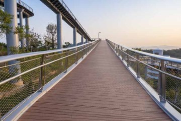 대나무는 왜 날씨에 잘 견디나요?