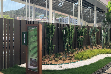 ¿Es la cerca de bambú una buena opción?