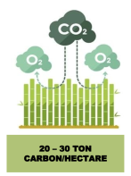 renewable building material