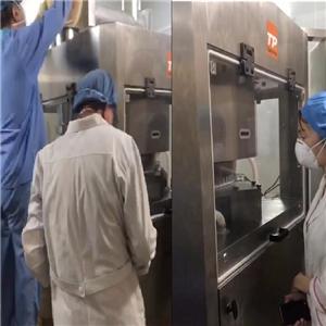 GZPK720 High Speed Rotary Tablet Press Machine In Russia