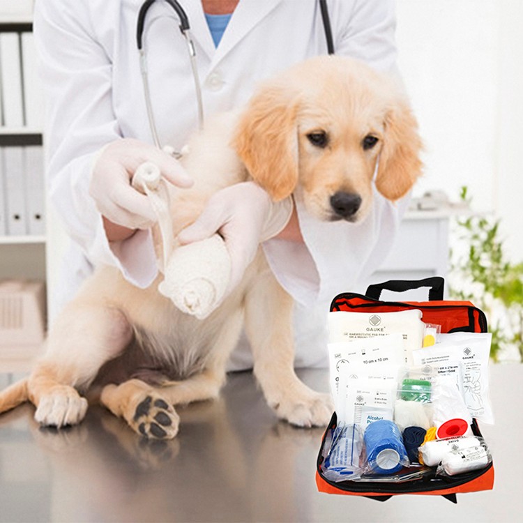Persönliches Tier-Erste-Hilfe-Set für Haustiere