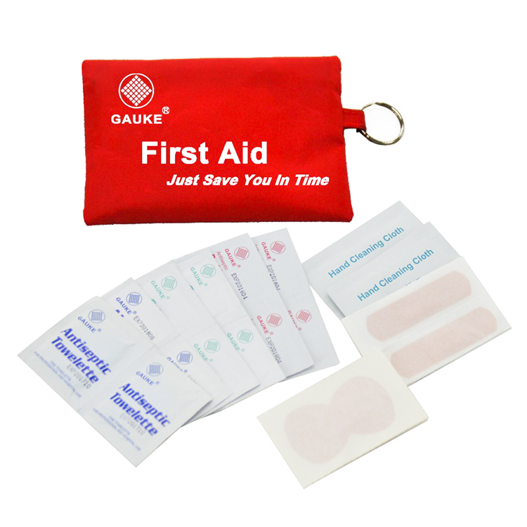 Professional Small Red First Aid Kit Pouch Bag Kit