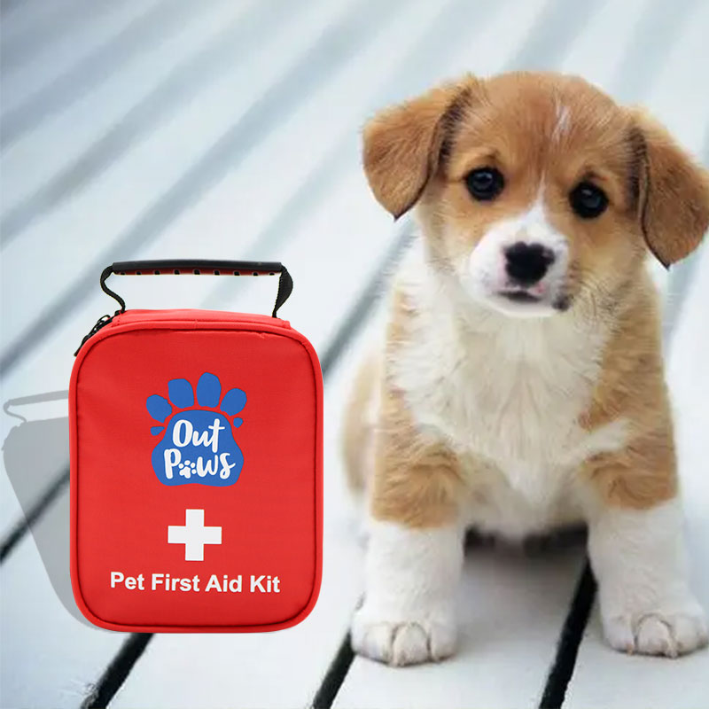 Erste-Hilfe-Kasten für Haustiere