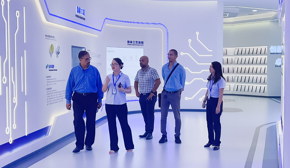 Chinese Pharmaceutical Company Chinese Pharmaceutical Company