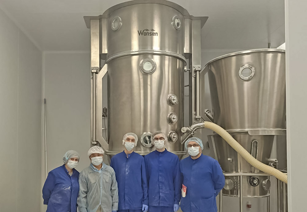 High shear wet type mixing granulator