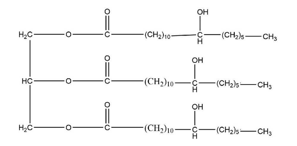 Hydrogenated Castor Oil.jpg