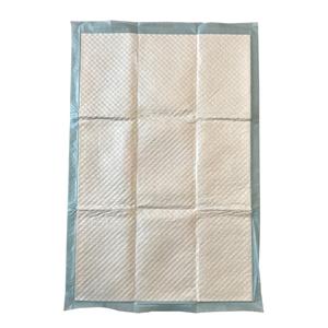 Disposable Ultra Thin Bule 60*90cm Size Underpad