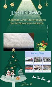 التحديات والآفاق المستقبلية لصناعة المنسوجات