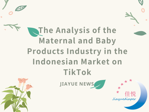 The Analysis of the Maternal and Baby Products Industry in the Indonesian Market on TikTok