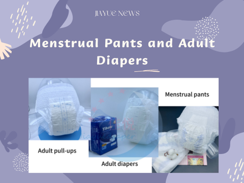 Menstrual Pants and Adult Diapers