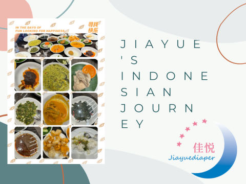 जियायू की इंडोनेशियाई यात्रा