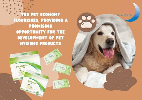 The Pet Economy Flourishes, Providing a Promising Opportunity for the Development of Pet Hygiene Products