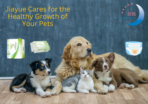 Jiayue Cares for the Healthy Growth of Your Pets
