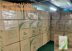 Jiayue Pet Alt Pedleri Gönderildi!