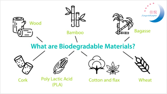 Biodegradable Wet Wipes