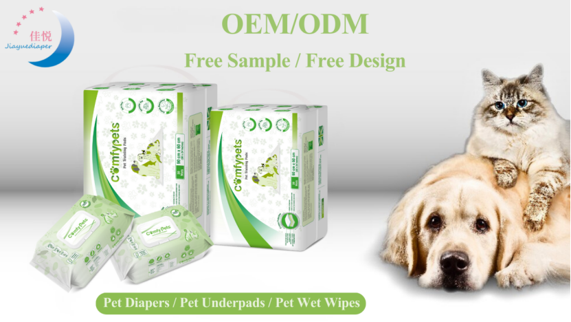 Chinese diaper factory