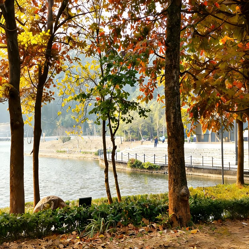 हम ऐसा क्यों मानते हैं कि एक खुशहाल टीम बेहतर खिड़कियां और दरवाजे बनाती है?