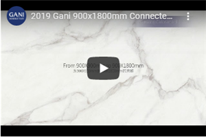 2019 ガニ 900x1800mm接続された静脈