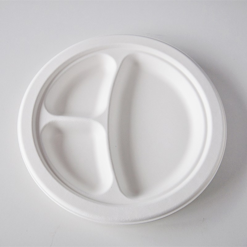 disposable sectioned plates