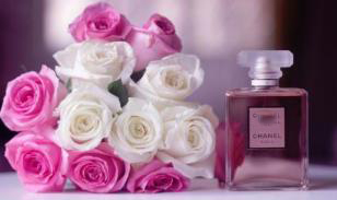 Perfume-best of your companion