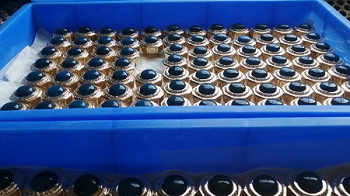 colorful diamond zamac perfume caps