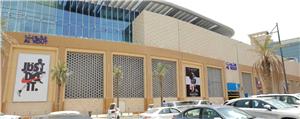 Aluminum Curtain Wall For Exterior Decoration