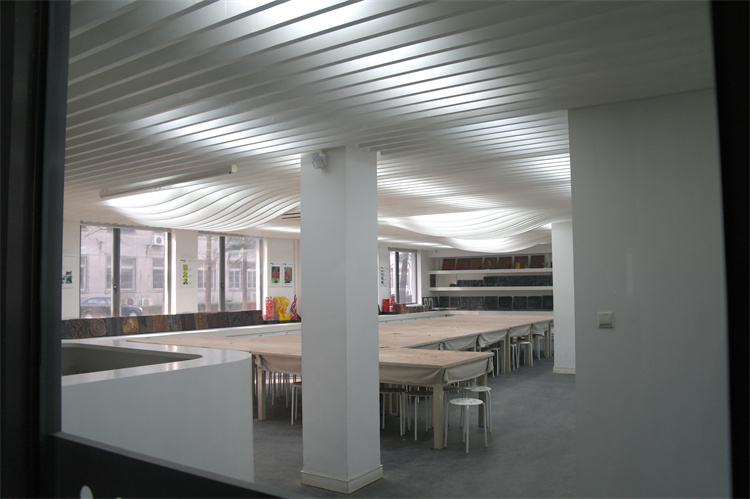 suspended ceiling system