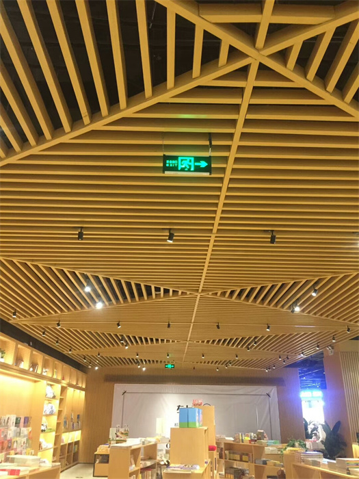 interior ceiling panels