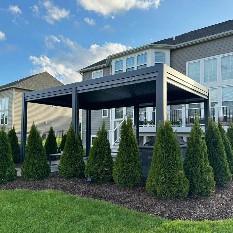 My Special Bond with Pergola