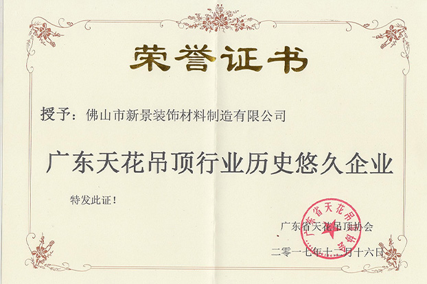 A long-established enterprise in the Guangdong ceiling industry