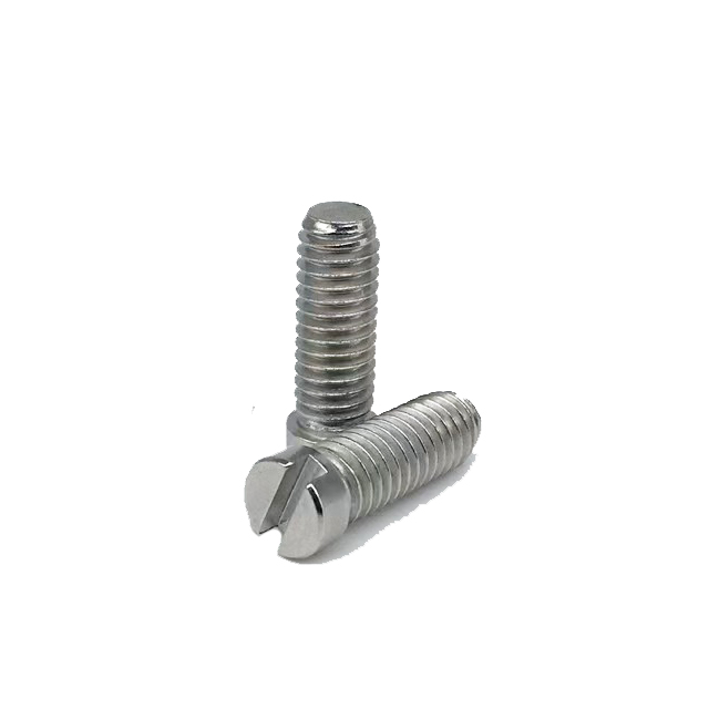 Fastening Slotted Head Stainless Screw 1081111340