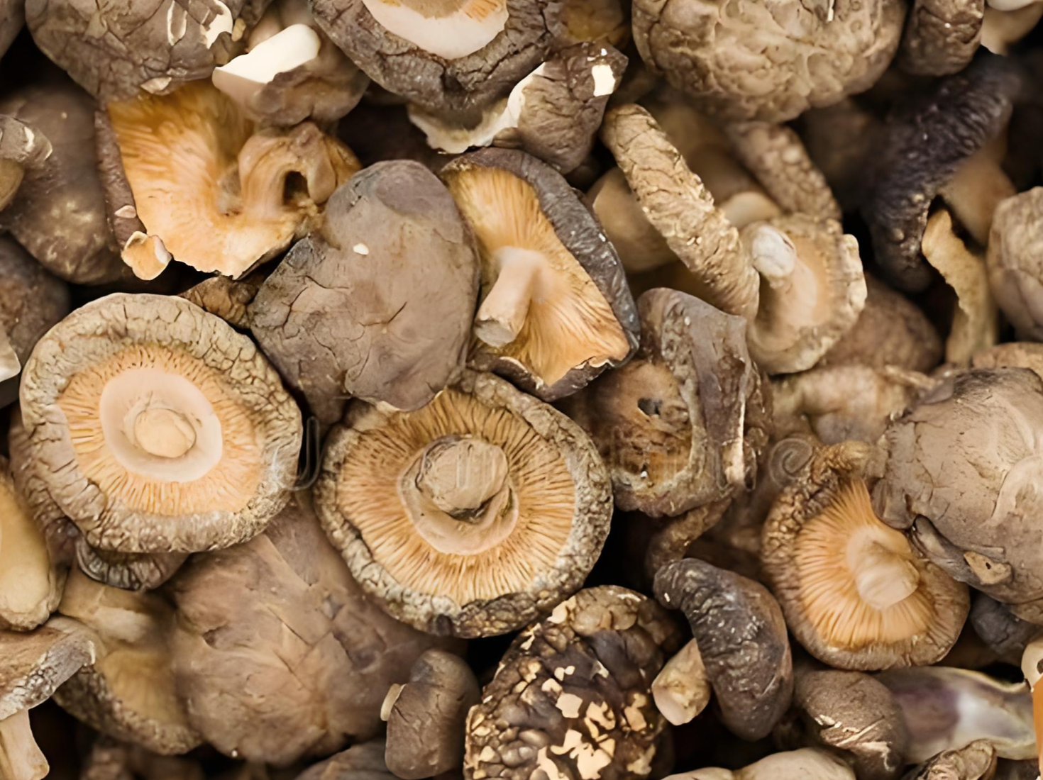 dried shiitake for restaurants dried shiitake for restaurants