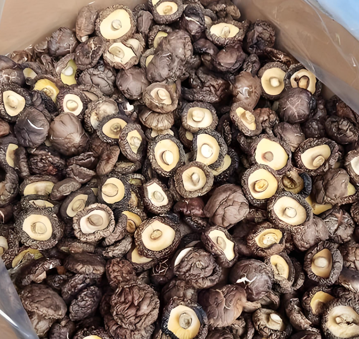 wholesale dried shiitake mushrooms wholesale dried shiitake mushrooms