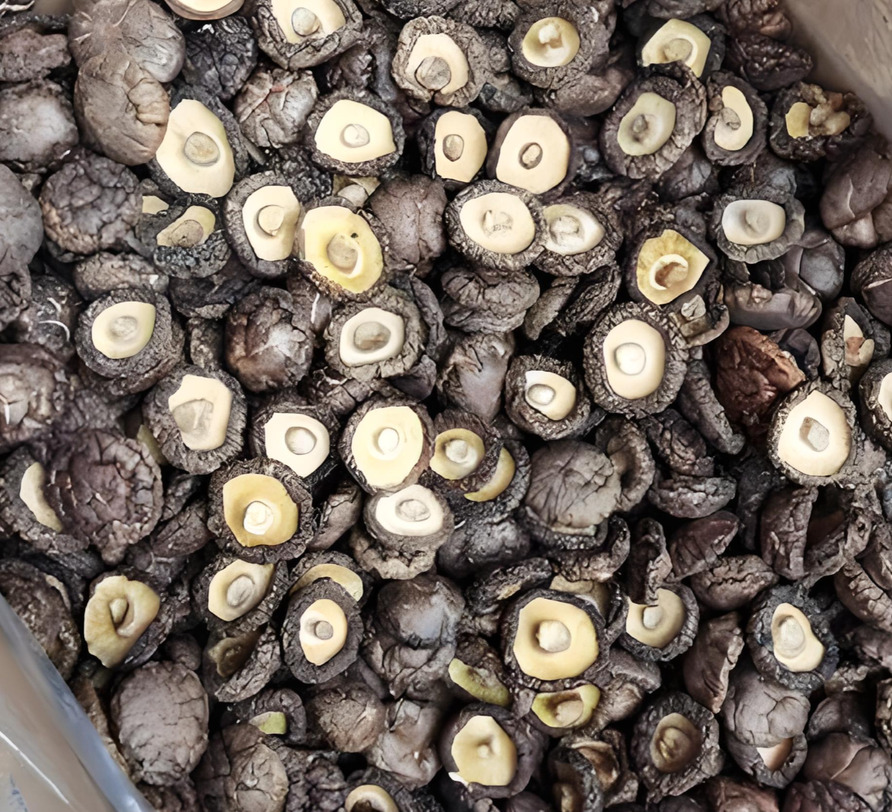 bulk dried shiitake mushrooms bulk dried shiitake mushrooms