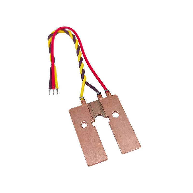 Shunt para contador de 200 µΩ EBSB15200 24 5 9 15 5 V1