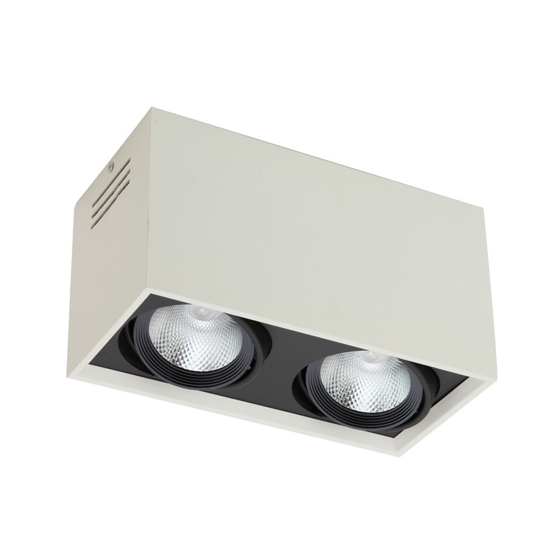 LED 2 * 30W Zwei-Kopf-Kühlergrilllicht