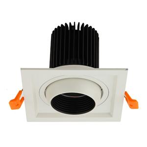 COB One Head 20W 30W Flachgitter-Einbauleuchte