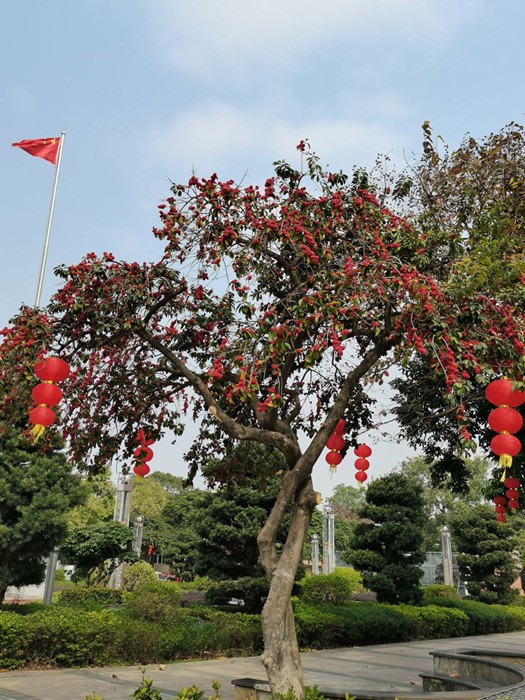 Rückblick auf 2020, Rückblick auf 2021