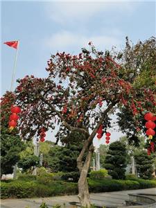 2020'ye geri d?n, 2021'e bak