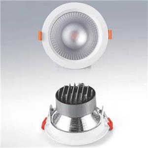 Neue Aufgabe der Produktanpassung von LED-Downlights