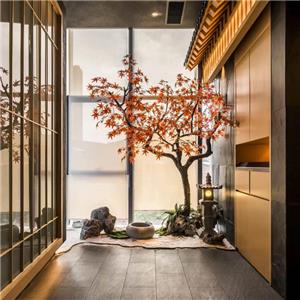 لانجلادا قاد في مطعم ياباني