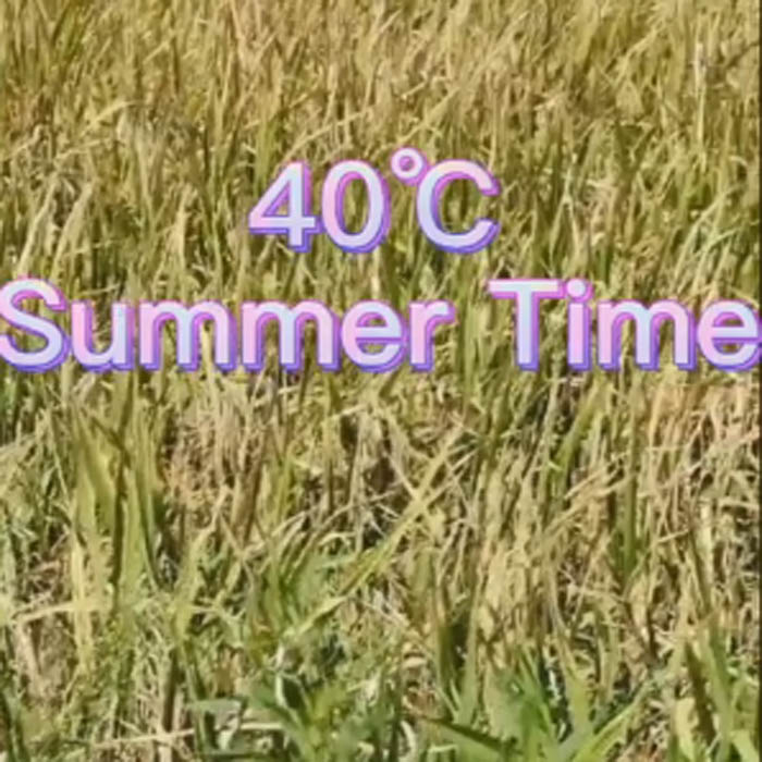 Langlada LED: Sommerunterstützungslandreis erhalten