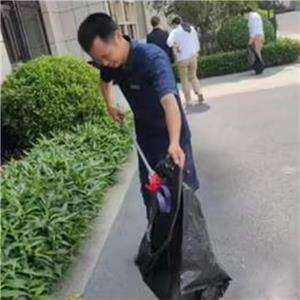 Aktivit?t der Sommermückenfliege, Ratte, Kakerlake