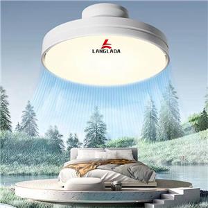 über Deckenventilatorleuchten