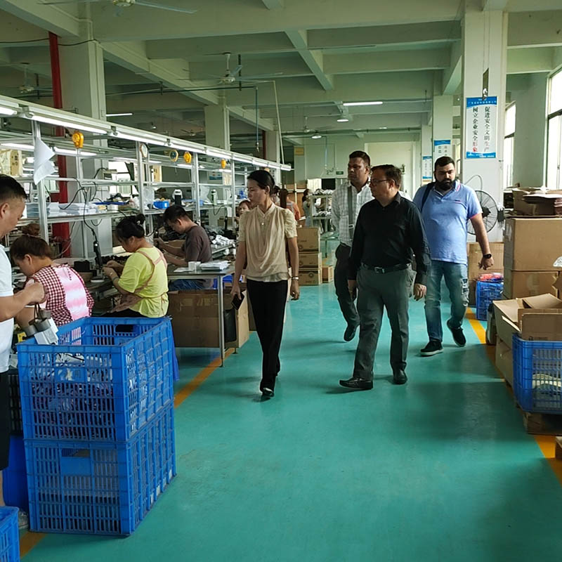 लैंगलाडा एलईडी कार्यशालाओं में ग्राहक कारखाने का दौरा