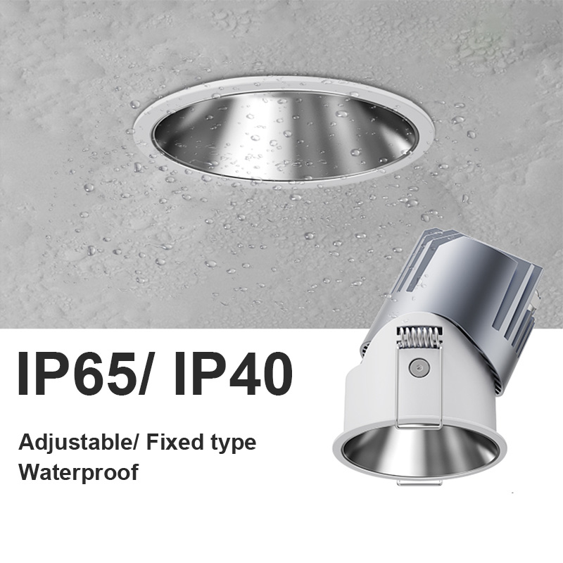 IP65 IP40 Spotlights & Downlights