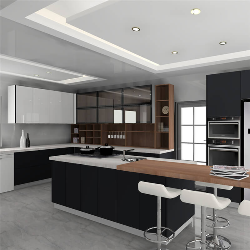 house kitchen cabinets