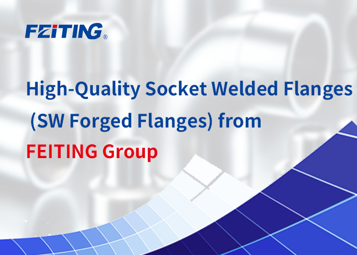 High-Quality Socket Welded Flanges (SW Forged Flanges) mula sa FEITING Group High-Quality Socket Welded Flanges (SW Forged Flanges) mula sa FEITING Group