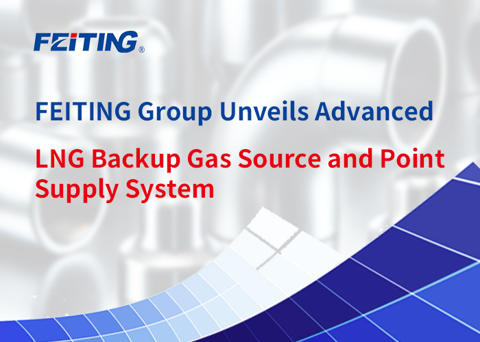 Inilabas ng FEITING Group ang Advanced na LNG Backup Gas Source at Point Supply System Inilabas ng FEITING Group ang Advanced na LNG Backup Gas Source at Point Supply System