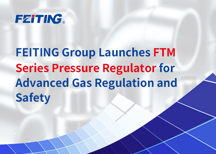 FEITING Group Meluncurkan Regulator Tekanan Seri FTM untuk Regulasi dan Keamanan Gas Tingkat Lanjut